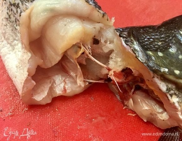 Теперь маленьким острым ножом делаем подкожный разрез, отделяя мясо от кожи (как на фото). Осторожно — не прорежьте саму кожу.