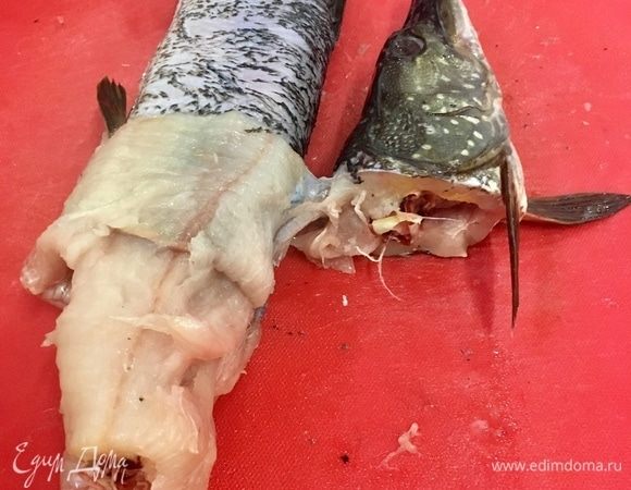 И постепенно, аккуратно, помогая себе ножиком, начинаем стягивать кожу щуки с ее основы, с позвоночника по направлению к хвосту. Двигаемся постепенно к хвосту рыбы, работая ножиком по кругу вдоль туловища. То есть мы стягиваем кожу «чулком». Голова все также прикреплена к коже, что можно увидеть на фото.