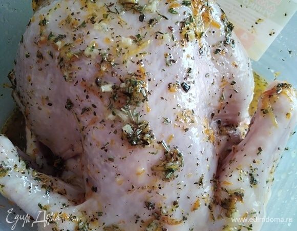 Курицу хорошо вымыть, обсушить и посолить. Затем смазать внутри и снаружи цитрусовым маринадом. Оставить на столе на 30 минут.