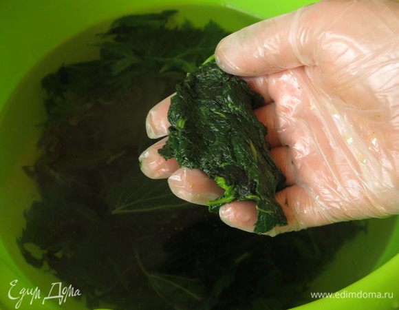 Опускаем крапиву в холодную воду, отжимаем порциями.