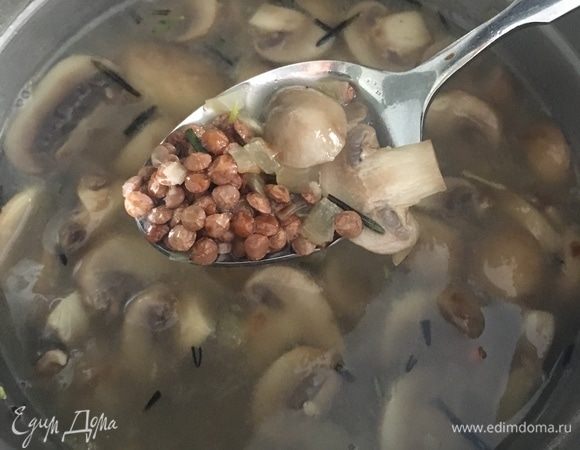 Залить чечевицу с грибами бульоном (куриным или овощным) или просто бутилированной водой.