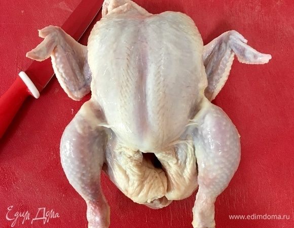 Для фаршированных куриных ножек нам, в самую первую очередь, необходимы ножки, а вернее — голени. Можно взять готовые куриные окорочка, разделать и зафаршировать их. Но у меня под рукой была целая курица, поэтому разделывала ножки я ей.