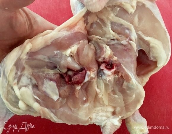 На фото виден сделанный разрез по хрящевой ткани сустава бедра курицы.