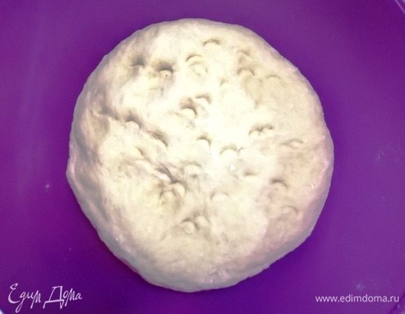 Кладем тесто в миску, смазанную растительным масло. Оставляем в теплом месте на 30–40 минут.