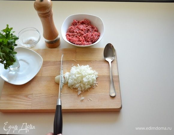 Подготовить все продукты, лук и кинзу мелко нарубить и смешать с фаршем. Приправить солью и перцем.
