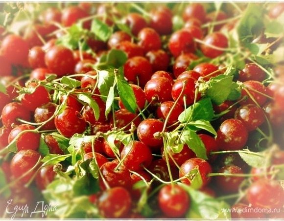 Комментировать практически не стану. Накупили вишни. Шпанской. Заморозили, шестинедельную поставил в двух ипостасях, и т.п., а все равно осталось.