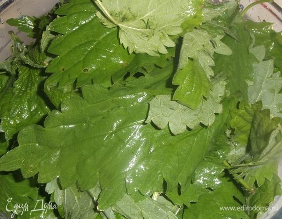 Листья крапивы обдать кипятком или промыть под горячей водой. Порезать.