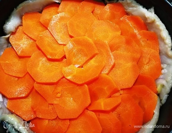 Морковь кружочками.