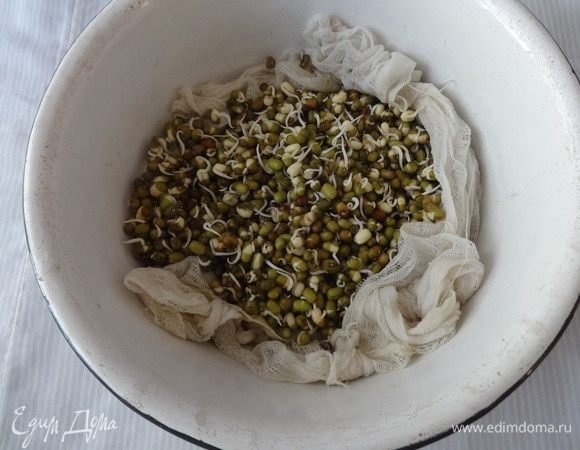 В результате у меня получился вот такой пророщенный маш. Он пророс за 2 дня.