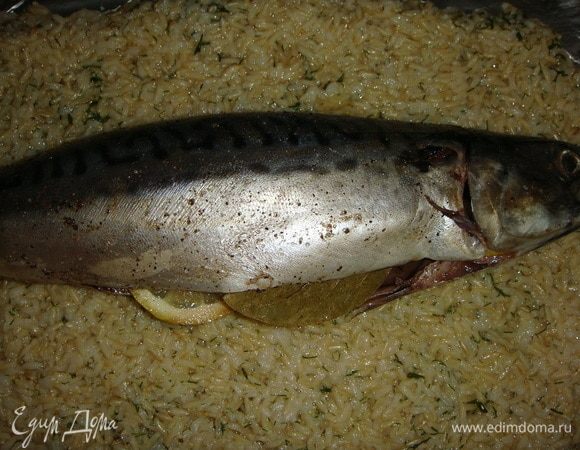 На рис кладем чищеную скумбрию. Солим и перчим ее по вкусу. Сбрызгиваем лимонным соком. Внутрь кладем лавровый лист и 3 дольки лимона.