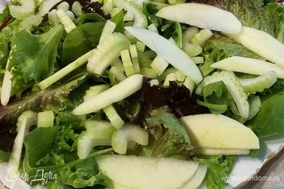 Промытые и обсушенные салатные листья разложить на блюдо. Стебли сельдерея нарезать тонкими полукольцами, яблоко очистить и нарезать тонкими пластинками. Разложить сельдерей и яблоко на салатные листья.
