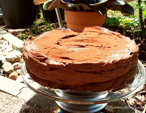 Вот такой насыщенный шоколадный торт у вас получится.