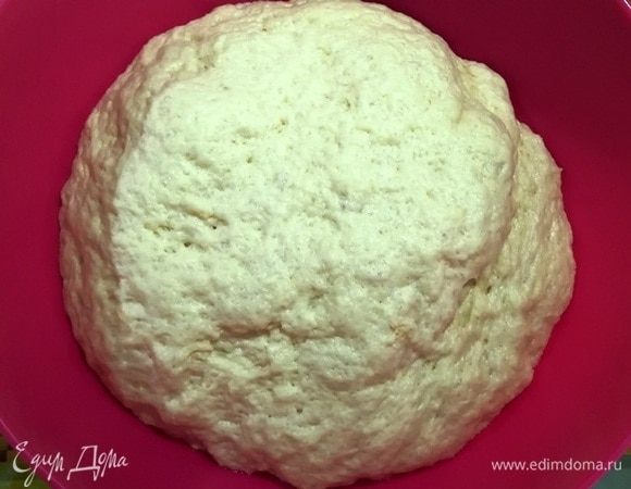 Вот так поднялось мое тесто через 40 минут.