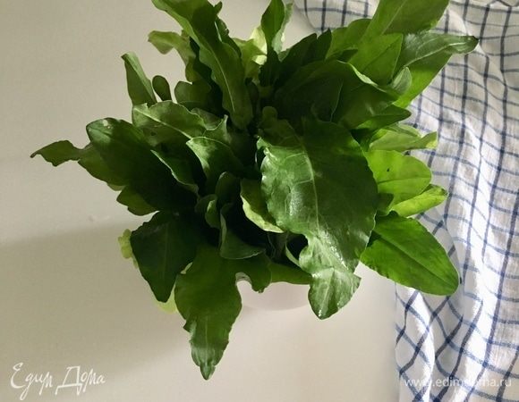 Займемся «зеленой» начинкой для пирога. Для нее в первую очередь нужен большой, действительно большой, пучок щавеля. Щавель помыть и обсушить.