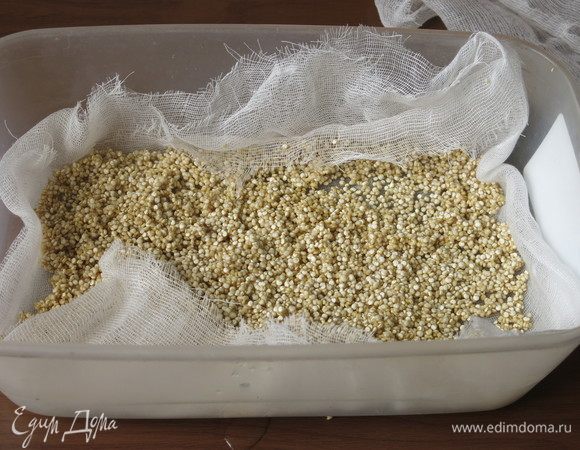 На ложе киноа.