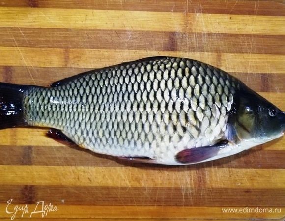 Вот такого красивого ладненького сазана мне привезли мои мальчики. Очищаем чешую, вынимаем внутренности, обязательно удаляем жабры. Промываем рыбу.