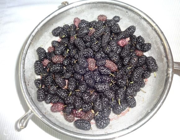 Шелковицу промыть в чашке с водой, удалить все примеси. Затем откинуть на дуршлаг для полного стекания воды.