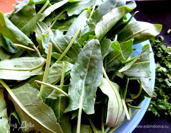 Щавель замочить в холодной воде, прополоскать от песка, подсушить.