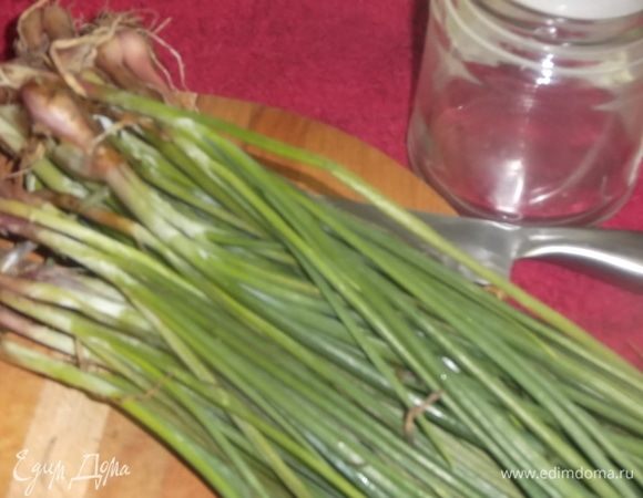Покупаю зеленый лук. Сейчас сезон, и он недорогой. Чтобы в холодильнике он не испортился и не засох, я его мою, чищу и режу.