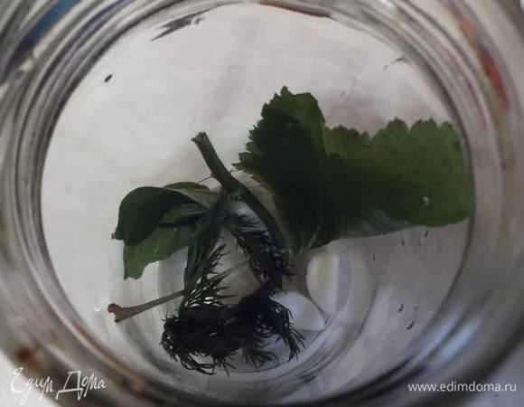 В подготовленные банки уложить листья вишни, смородины, укроп и чеснок.