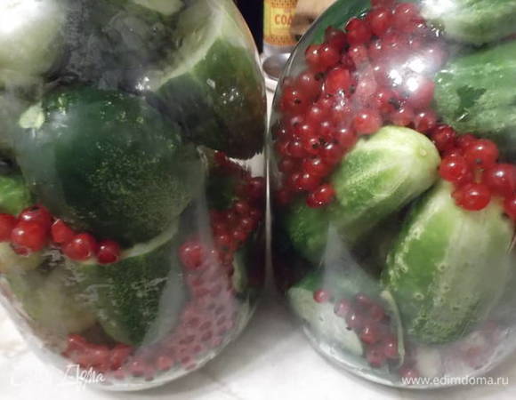 Заполните банку огурцами. Большие разрезать по полам. Пересыпать огурцы смородиной, можно с веточками, так даже будет красивее.