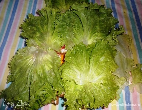 Листья салата вымыть, обсушить и положить на майонез (класть только зеленую часть листа, белые концы оборвать).