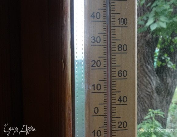 В подтверждение вышесказанного: термометр на западной стороне дома. Время — 15:37, температура — 39°C в тени. Самое время приступить к дегустации бургеров.