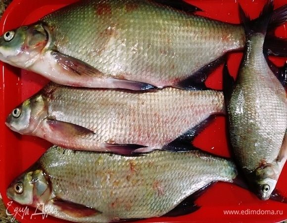 Вот такой улов мне сегодня привезли мои мальчики. Самый большой лещ — 2,2 кг (его запекаем в духовке), два поменьше — на 1,5 кг и 1,3 кг (разделаем на филе). Маленького леща не взвешивала, отправила в морозилку.