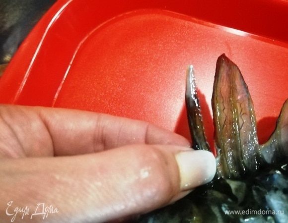 При чистке рыбы будьте осторожны, вот такой огромный острый шип у карпа сверху. Вообще, плавники можно срезать, но для брутального вида, оставим.