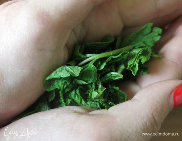 Используем только листики мяты. Перетираем руками.