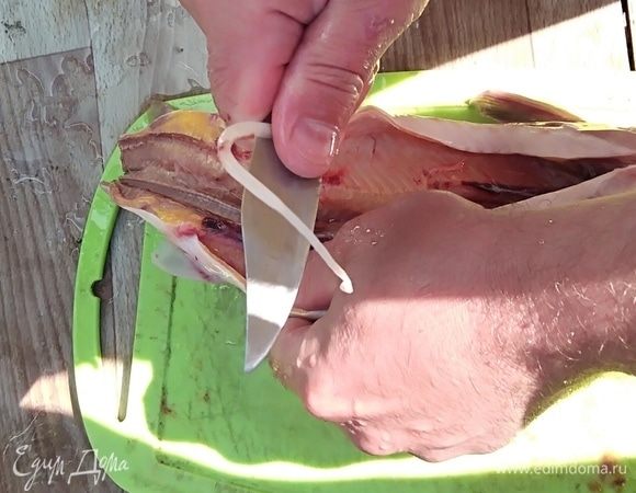 Рыбу вымыть, почистить. У меня была стерлядь (3 шт.). У нее нет чешуи, но есть вот такая белая жилка — визига, которую нужно обязательно удалить. Срезав хвостик, вытянуть и выбросить, она ядовитая. Ну и внутренности тоже вычистить.