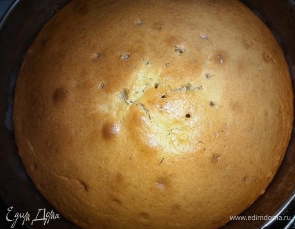 Дно разъемной формы смазать половиной нормы растительного масла. Выложить тесто. Выпекать в разогретой до 180°С духовке в течение 35–40 мин. Готовность проверяйте деревянной палочкой. Ориентируйтесь на свою духовку. Готовый корж вынуть из формы, остудить.
