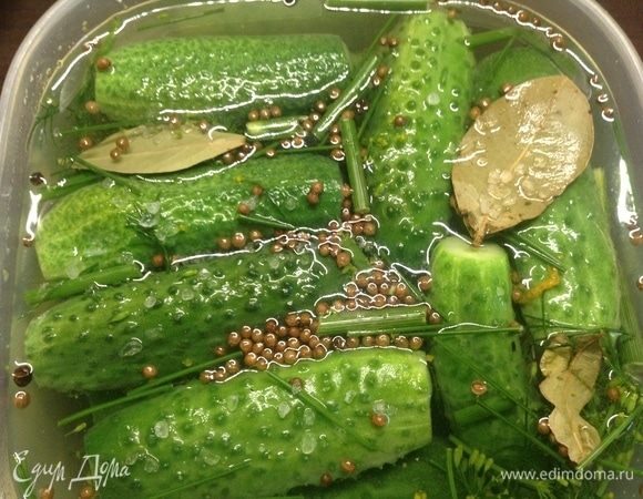 Собственно:) Все перечисленное (половину) накидали в банку-склянку (или в пластиковую миску). Огурцы промыли, с концов чуть срезали до белой мякоти, сложили поверх травы-муравы в банку. Сверху — соль и вторую половину зелени-специй. Залили кипятком. Именно кипятком. Как остыло, крышкой накрыли и в холодильник. Как остыло — на стол. К картошечке:) Не передать словами.