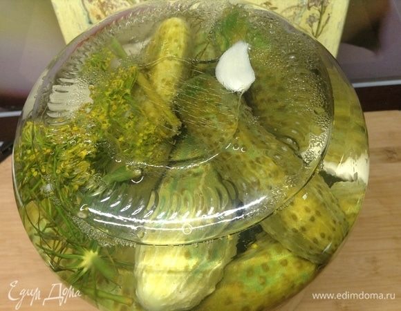 Огурчики будут почти сразу менять цвет, сперва пятнышками, потом пятнами, пока совсем вот не станут а-ля готовы:)