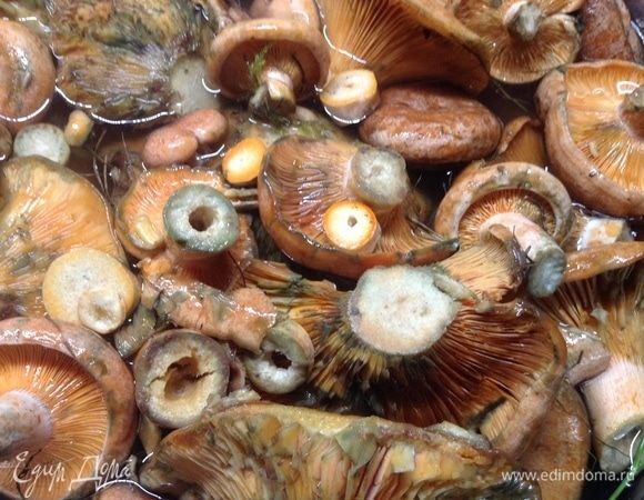 Сложили рыжики в кастрюлю, соли добавили на 1 кг грибов ложку столовую, залили холодной водой, сверху положили тарелку, так чтобы все грибочки были под водой. Пусть часа два-три стоит, отмокает от лесного налета.