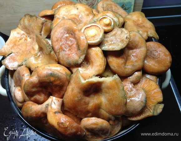 Присмотрелись. Принюхались. Прошептали что-то свое, заветное.