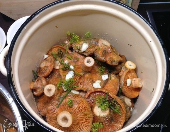Ну, и так вот слой за слоем. Через пару слоев грибов (солим каждый слой грибов) снова добавляем чуть чеснока, хрена и укропа. Периодически тарелкой прижимаем и руками давим, чтобы грибы уминались и помалу сок давали.