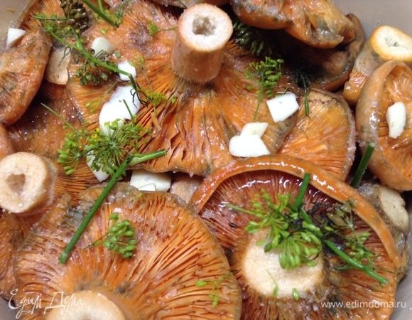 Тут вот видно, сколько чеснока, хрена и укропа на слой, ну, и как выглядит примерно правильное количество соли на слой грибов. Не забываем вдыхать ароматы:)