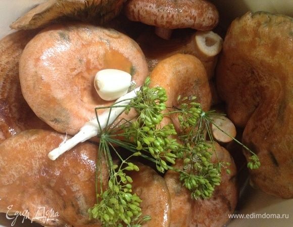 Солнца вам и позитива в душе!