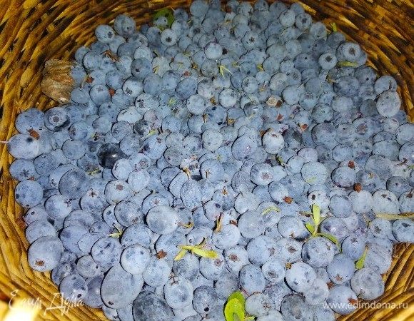 Ягоды переберем и вымоем.