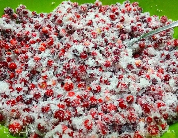 Рецепт брусники на зиму простой: нужно измельчить ягоду с помощью блендера. В бруснике, заготовленной без варки данным способом, сохранятся все витамины.