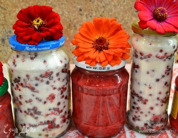 Второй вариант. Бруснику перебрать, промыть, высушить. В простерилизованные банки слоями выложить ягоды, сахарный песок, верхним слоем должен быть сахар. Закрыть крышками и убрать в прохладное место.<br />
Протертая и целая брусника с сахаром снабдит организм витаминами в холодное время года. 