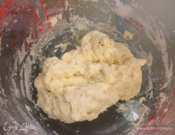 Опара: в воде растворить дрожжи, добавить соль, муку и хорошо перемешать. Накрыть пленкой и оставить при комнатной температуре на 1–2 часа.