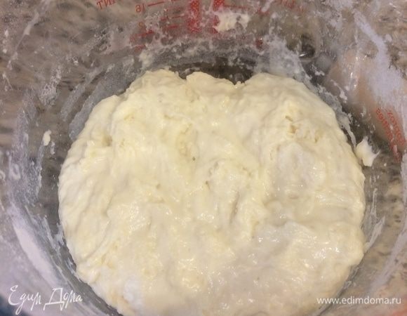 Спустя указанное время перемешать и поставить в холодильник на 24–48 часов. Моя опара стояла в холодильнике 24 часа.