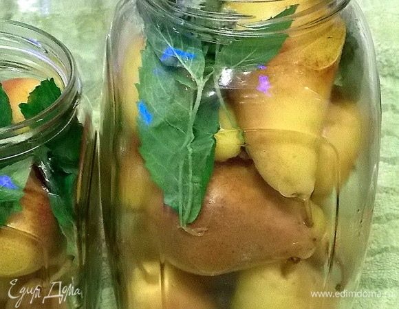 Разложить груши по стерилизованным банкам и положить чистую сухую мяту.