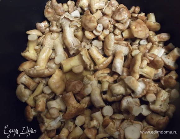 Подготовить грибы. Помыть, почистить.