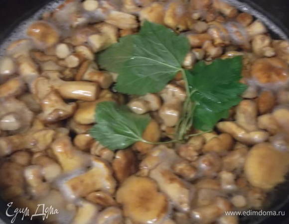 Отварить грибы в соленой воде 20 минут. Я бросаю листики смородины для аромата.