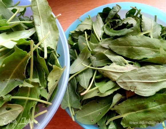 Дать стечь воде. Просушить щавель.