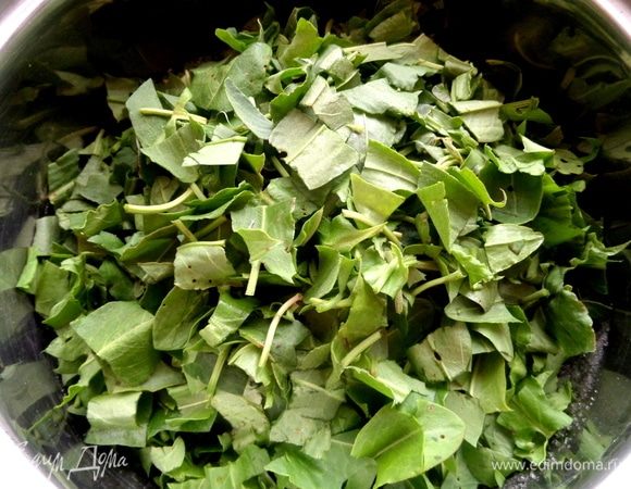 Нарезать щавель как на салат.