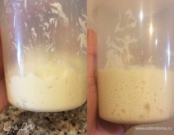 Притвор. В контейнере смешать дрожжи, воду, соль, муку. Массу хорошо перемешать, накрыть и оставить при комнатной температуре на 2 часа. Спустя 2 часа перемешать и отправить в холодильник на 48 часов. На втором фото мой притвор спустя 48 часов.